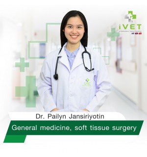 Bác sỹ Pailyn Jansiriyotin